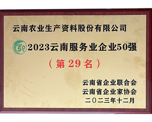 2023云南服務(wù)業(yè)企業(yè)50強(qiáng)第二十九名